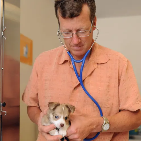 Dr. Brust holding small dog at Henniker Veterinary Hospital